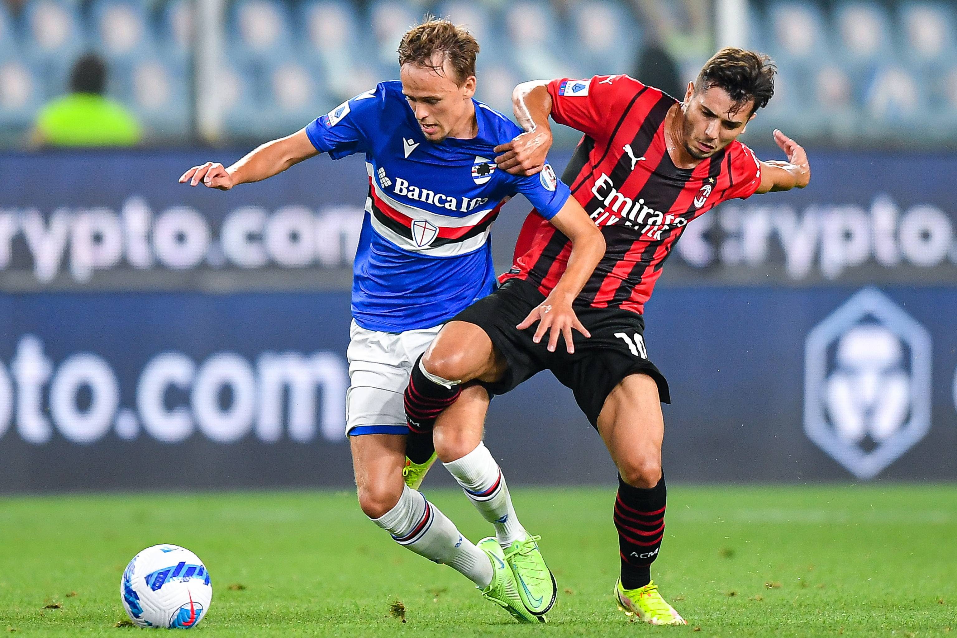 球迷们无不 球迷们无不