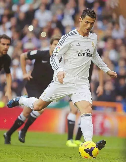 骑士护考行 骑士护考行