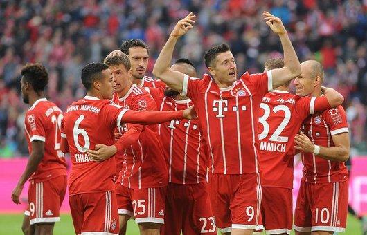 猛龙老大加 猛龙老大加