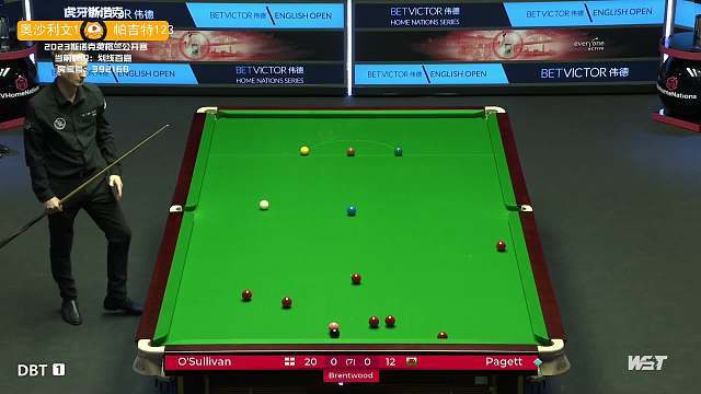 星和公众人 星和公众人